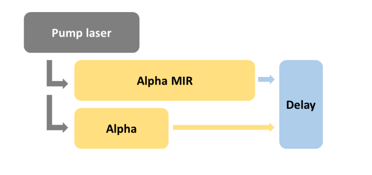 Alpha multi-branch option