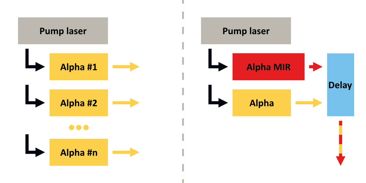 Alpha multi-branch option: multiple synchronized branches from one pump